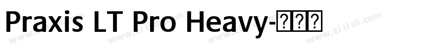Praxis LT Pro Heavy字体转换